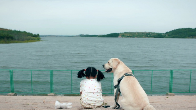 《我和萌犬的夏天》曝全新预告 和TA的奇妙情缘说不尽