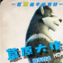 狼羊对决！《草原大作战》发布最新热映版海报