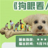 本周精彩丨看电影里的温情故事，感受治愈的力量