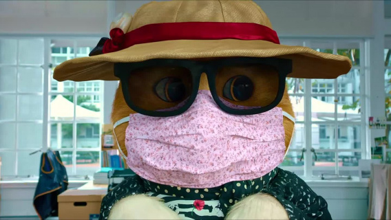 喵星人穿裙子开家长会，全程爆笑不断