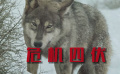 绝境求生！电影频道出品电影《雪劫》1905电影网正在热播