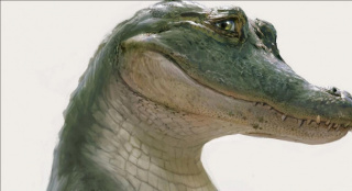 电影《鳄鱼莱尔》公布新映期 提前至10月7日上映