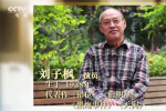 《黑炮事件》主演刘子枫去世 曾获金鸡奖最佳男主
