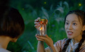 火蟲沒(méi)有眼睛，一生跟隨蟲王尋找方向，太美了