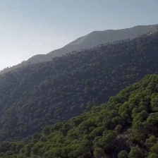 隱秘的角落