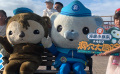 电影《海底小纵队：洞穴大冒险》发布“陪你过夏天”路演特辑