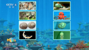 《海底小纵队：洞穴大冒险》里面的动画在现实世界叫什么？
