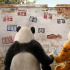 即將開園！包貝爾主演《動物園里有什么?》曝海報(bào)