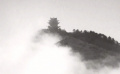 弗蘭克·舍費(fèi)爾希望通過(guò)《內(nèi)心風(fēng)景》展現(xiàn)什么？