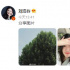 刘浩存微博“搞怪” 用自己照片制作搞笑表情包