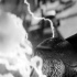 电影《黑亚当》曝光黑白剧照 引人入胜风格明显