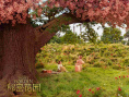 秘密花園