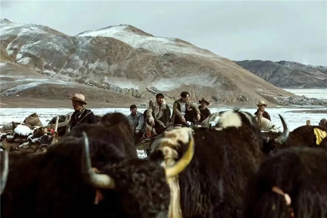 《回西藏》：一票难求，别错过这部“神秘”电影