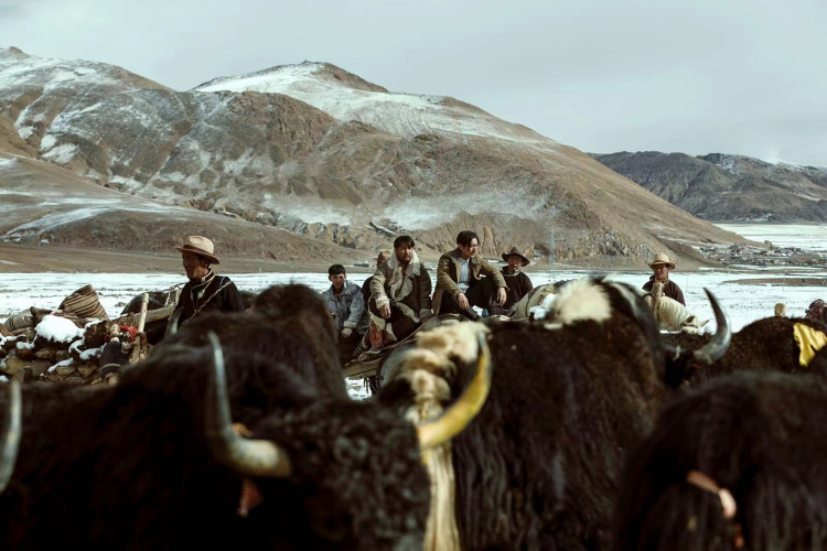 《回西藏》：一票難求，別錯過這部“神秘”電影