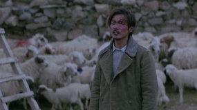 电影《回西藏》诗意隽永情感真挚 获影评人一致好评