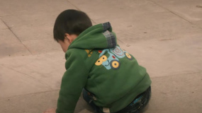 狗狗和殘疾老人一起追回被拐小孩