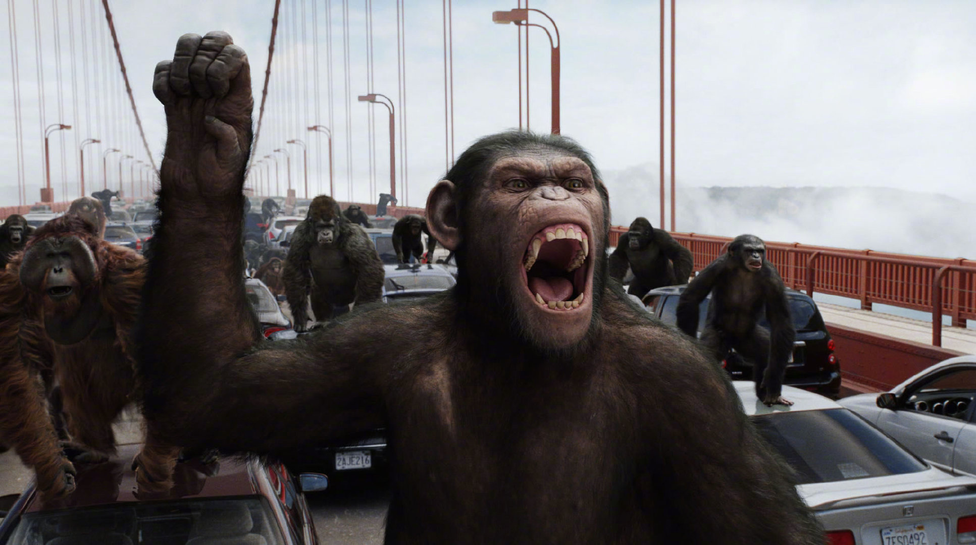 欧文·泰格将主演新版《人猿星球》 韦斯·鲍尔执导