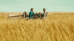 观众为何喜欢《隐入尘烟》？