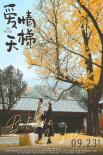 愛情天梯