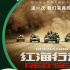 本周精彩丨热血十月 主旋律电影点燃浓浓爱国心