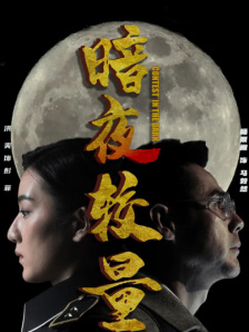 暗夜较量