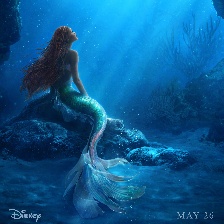 小美人魚