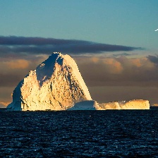 陪你在全世界長大