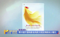 第35届中国电影金鸡奖主视觉海报体现传承和延续