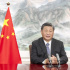 习近平在第五届中国国际进口博览会开幕式上发表致辞