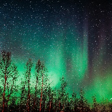 陪你在全世界長大