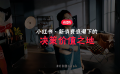 出戰(zhàn)雙11，小紅書有兩手準(zhǔn)備？