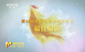 第35屆中國(guó)電影金雞獎(jiǎng)提名——最佳編劇