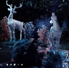 不要再見(jiàn)啊，魚花塘