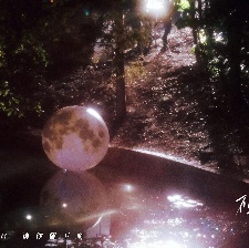 不要再見(jiàn)啊，魚花塘