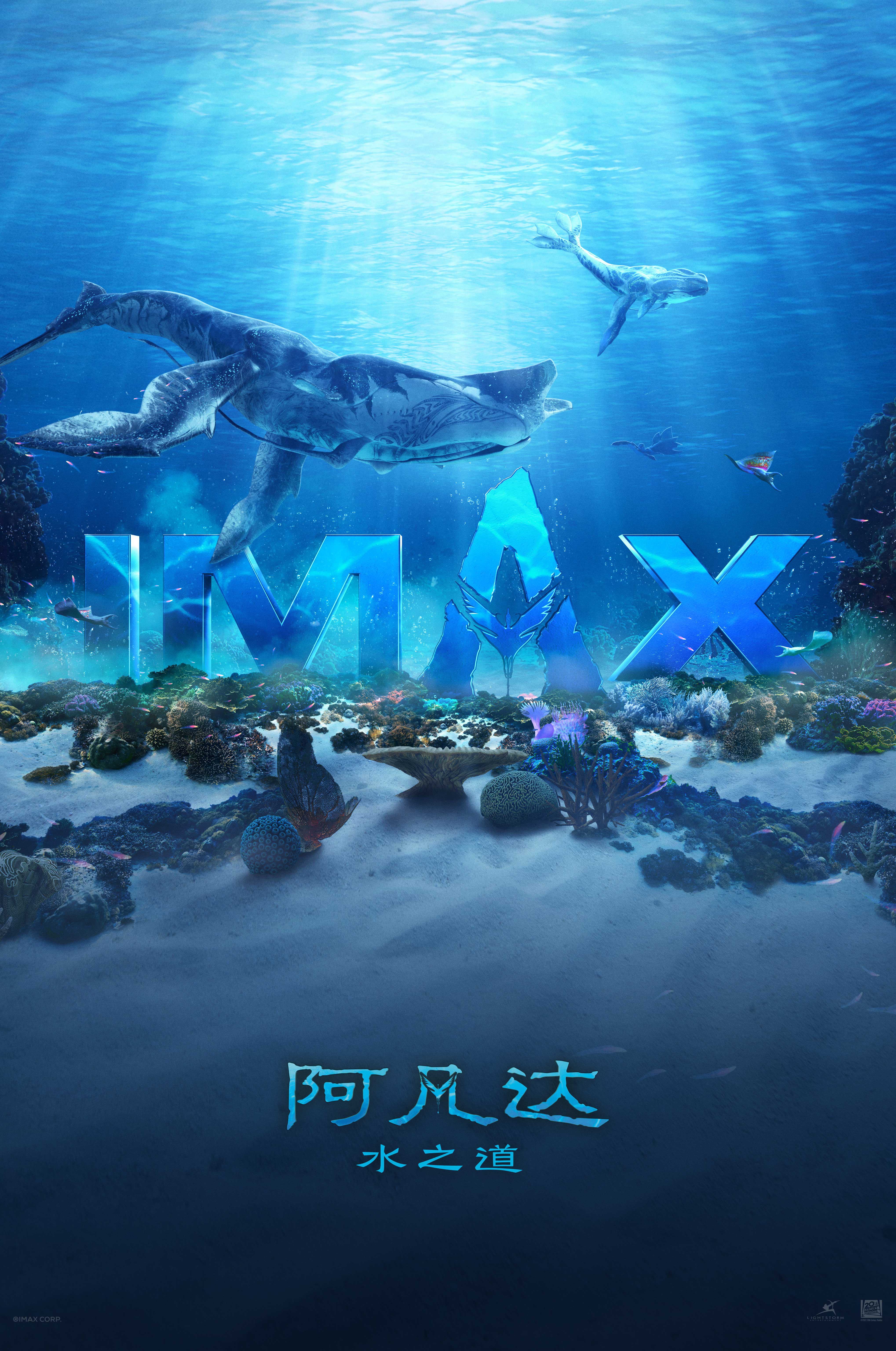 畅游梦幻海底 《阿凡达：水之道》 曝IMAX海报(图1)