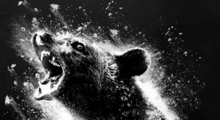 巨熊愤怒咆哮！惊悚片《可卡因熊》发布新海报