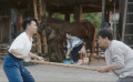 《龍馬精神》能夠打動觀眾嗎？