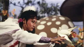 《六指琴魔》精彩片段