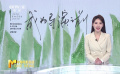 “成為導(dǎo)演之前——文字與影像之間”青蔥計(jì)劃主題影展在上海舉辦