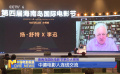 海南岛国际电影节举办大师班 中德电影人连线交流