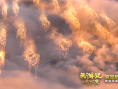 《西游记之七十二变》上映 “开学第一课”曝光