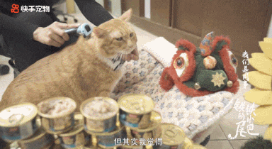 《铁铁的小尾巴》影评:别看烂片了,年初宝藏终于被我找到了!