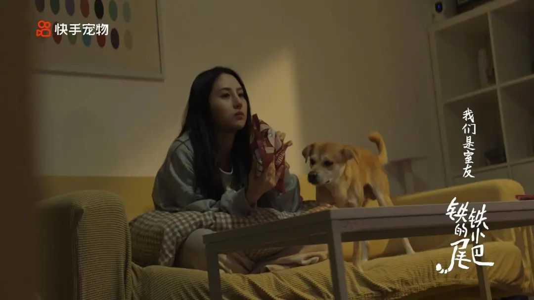 《铁铁的小尾巴》影评:别看烂片了,年初宝藏终于被我找到了!