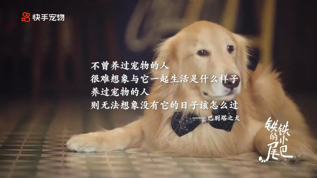 《铁铁的小尾巴》影评:别看烂片了,年初宝藏终于被我找到了!