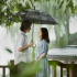 《柳浪聞鶯》差評！國產(chǎn)文藝片真矯情