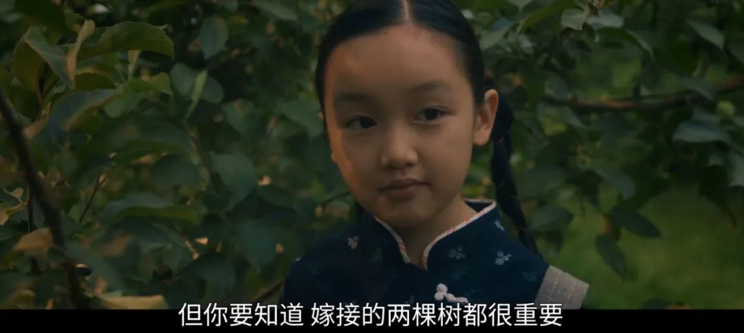 《杨之后》影评：白人爸，黑人妈，中国女儿，杂乱的家庭悲剧，却要靠机器人救赎？