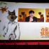梦工场动画《坏蛋联盟》中国首映礼直播 秦昊嘎嘎锤娜丽莎隔空默契大挑战