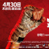 《出拳吧，妈妈》：别人拼的是拳，她拼的是命