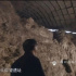 文化和自然遺產(chǎn)日丨屏上“打卡”，在影像中洞見(jiàn)文明延綿密碼