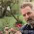 我惊了，这就是「成人级爱情」